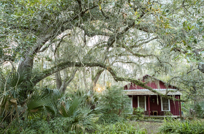 Florida, der Norden, bei Gainesville, Micanopy: Floridas (Staat) aeltester Ort. “Spanish Moos” Haus